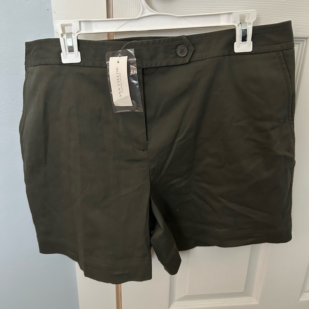 Ann Taylor Dark Green Women's Shorts